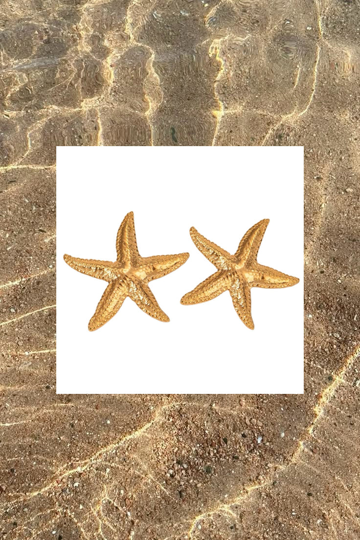 Starfish Earrings+Layered Necklace