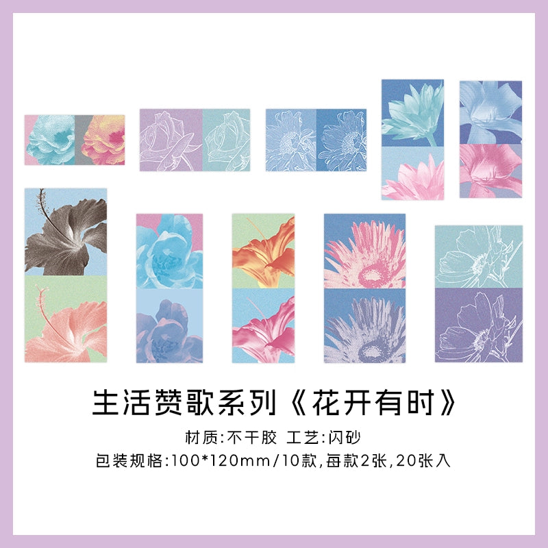 Papermore Life Hymn Sticker 20 pieces