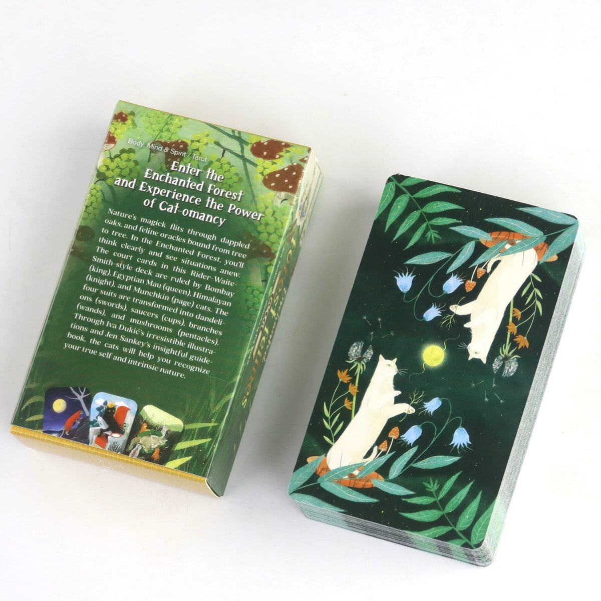 Enchanted Forest Felines
