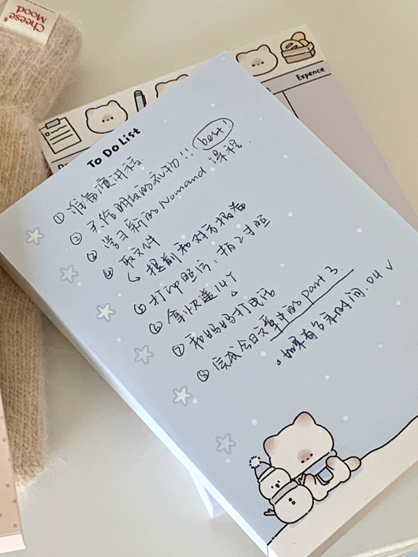 Pupuhome Functional Check in Memo Plan Checklist