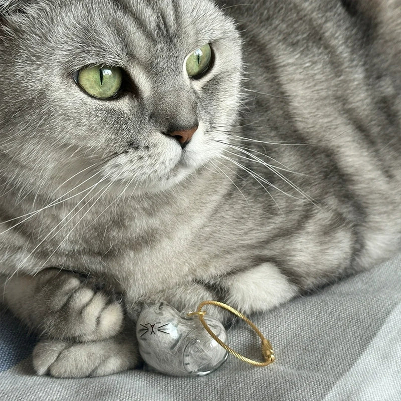 Transparent cat fur storage box with hanging decorations and twisted eggs
