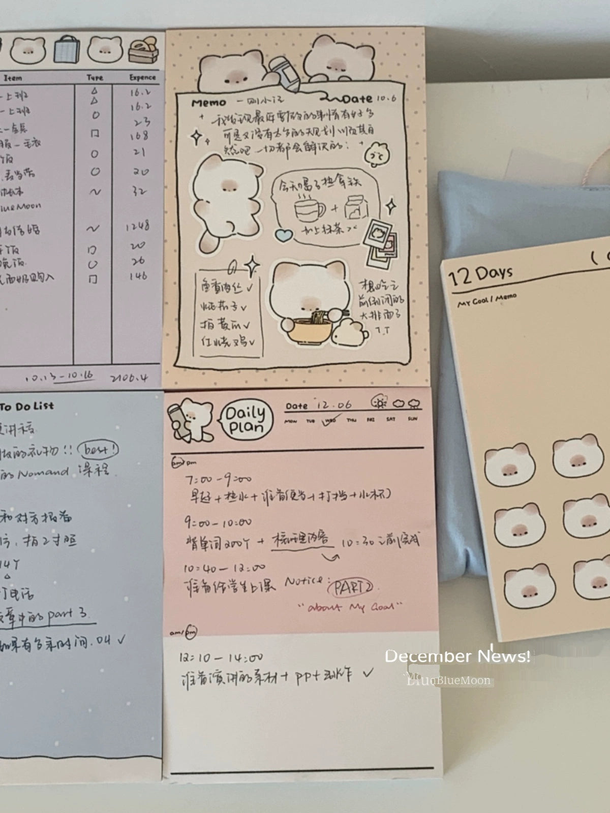 Pupuhome Functional Check in Memo Plan Checklist
