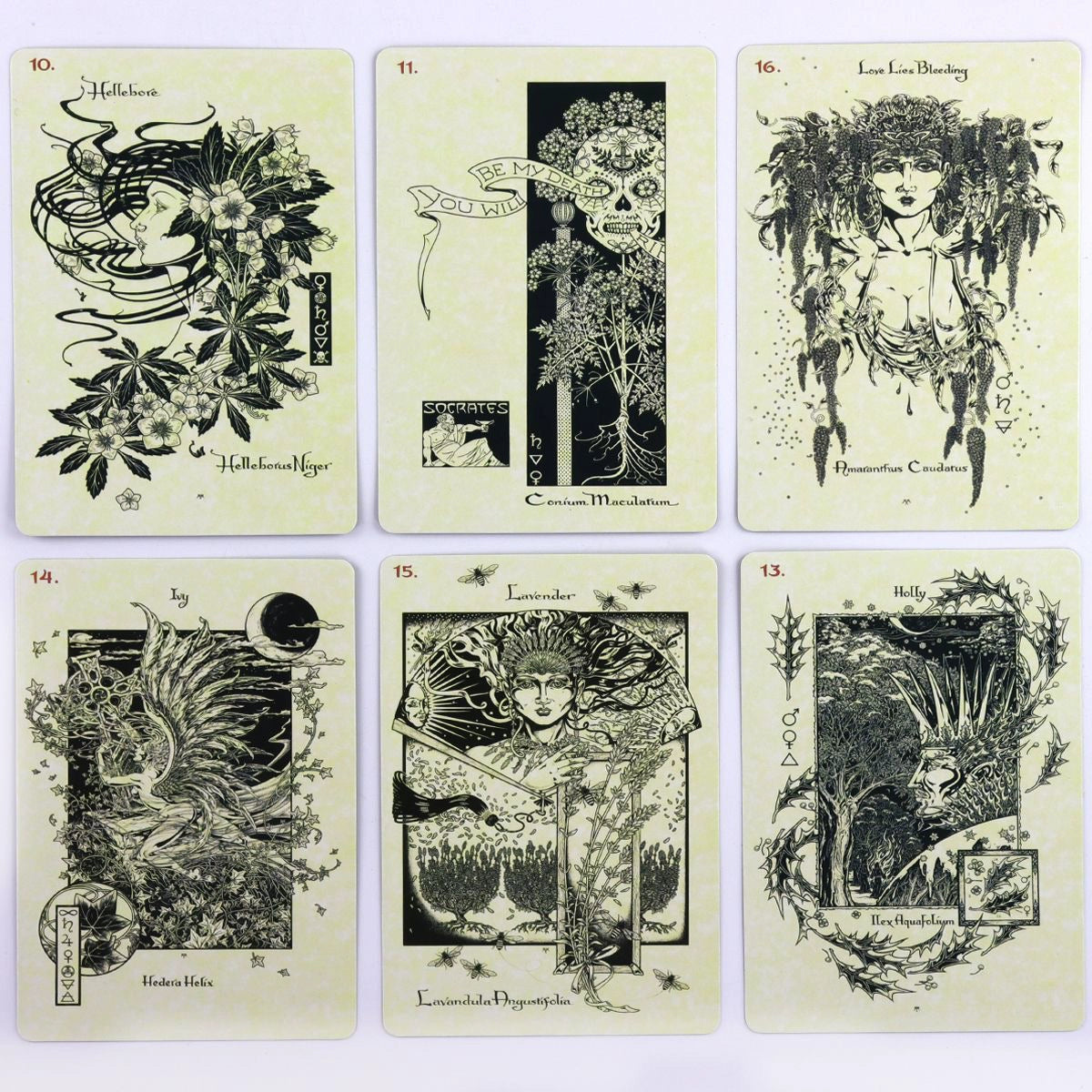 33The Magickal Botanical Oracle