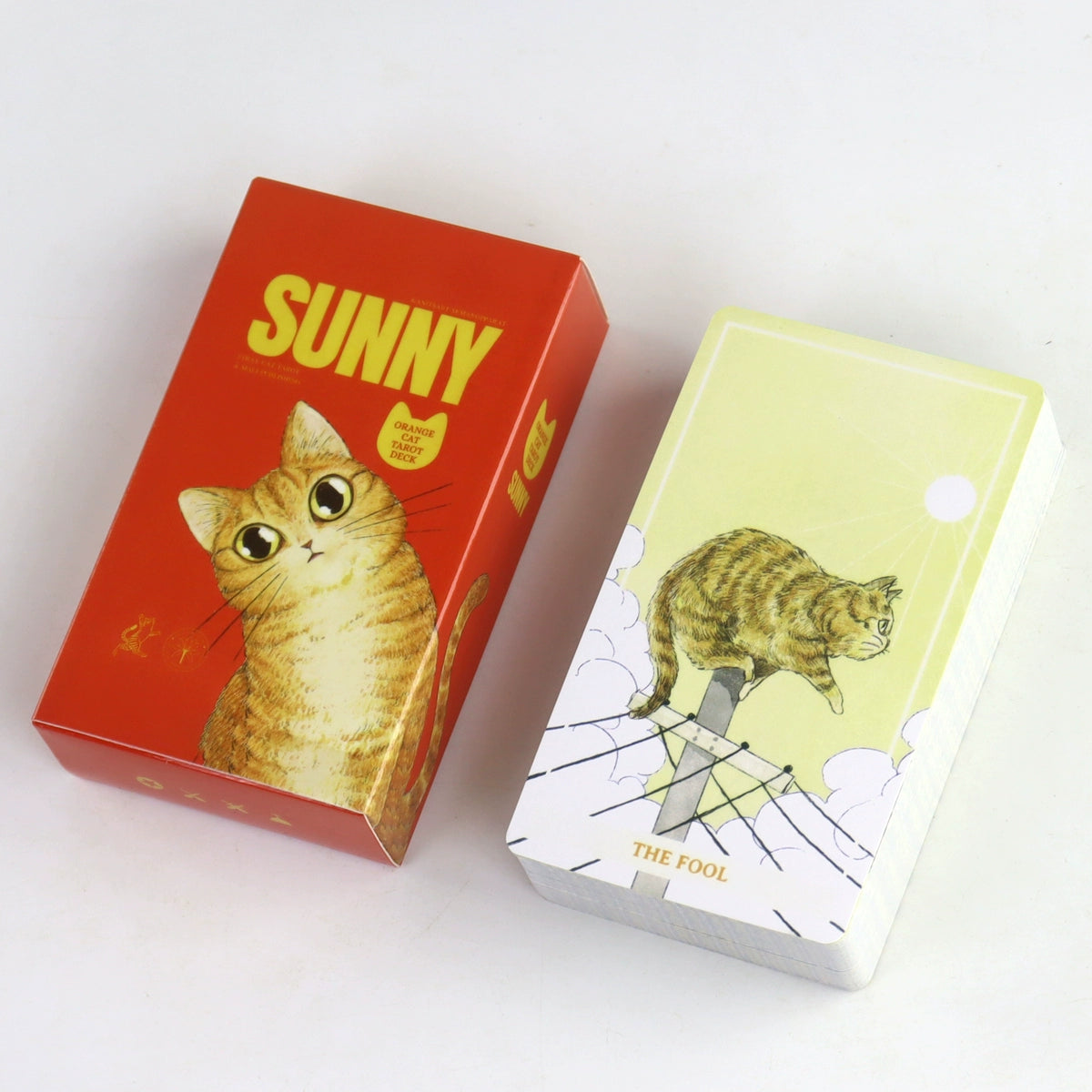 78张 Sunny Orance Cat