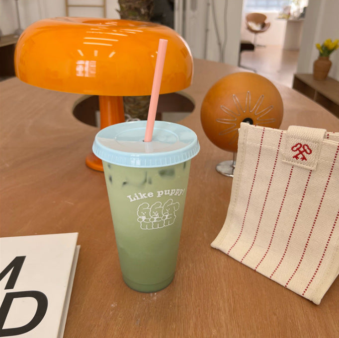 Plastic straw cup