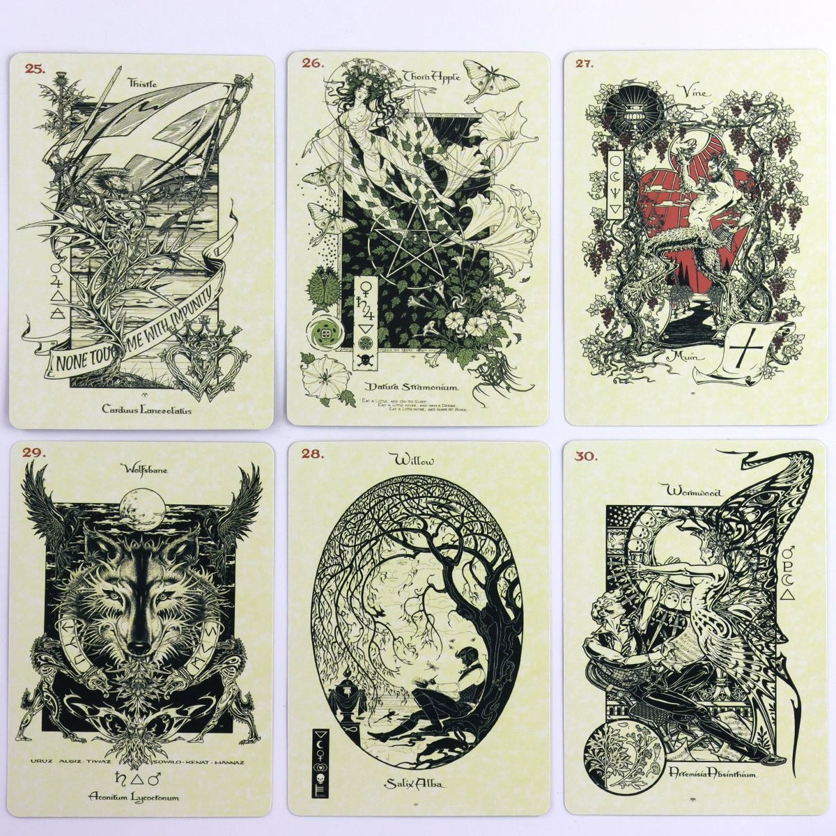 33The Magickal Botanical Oracle