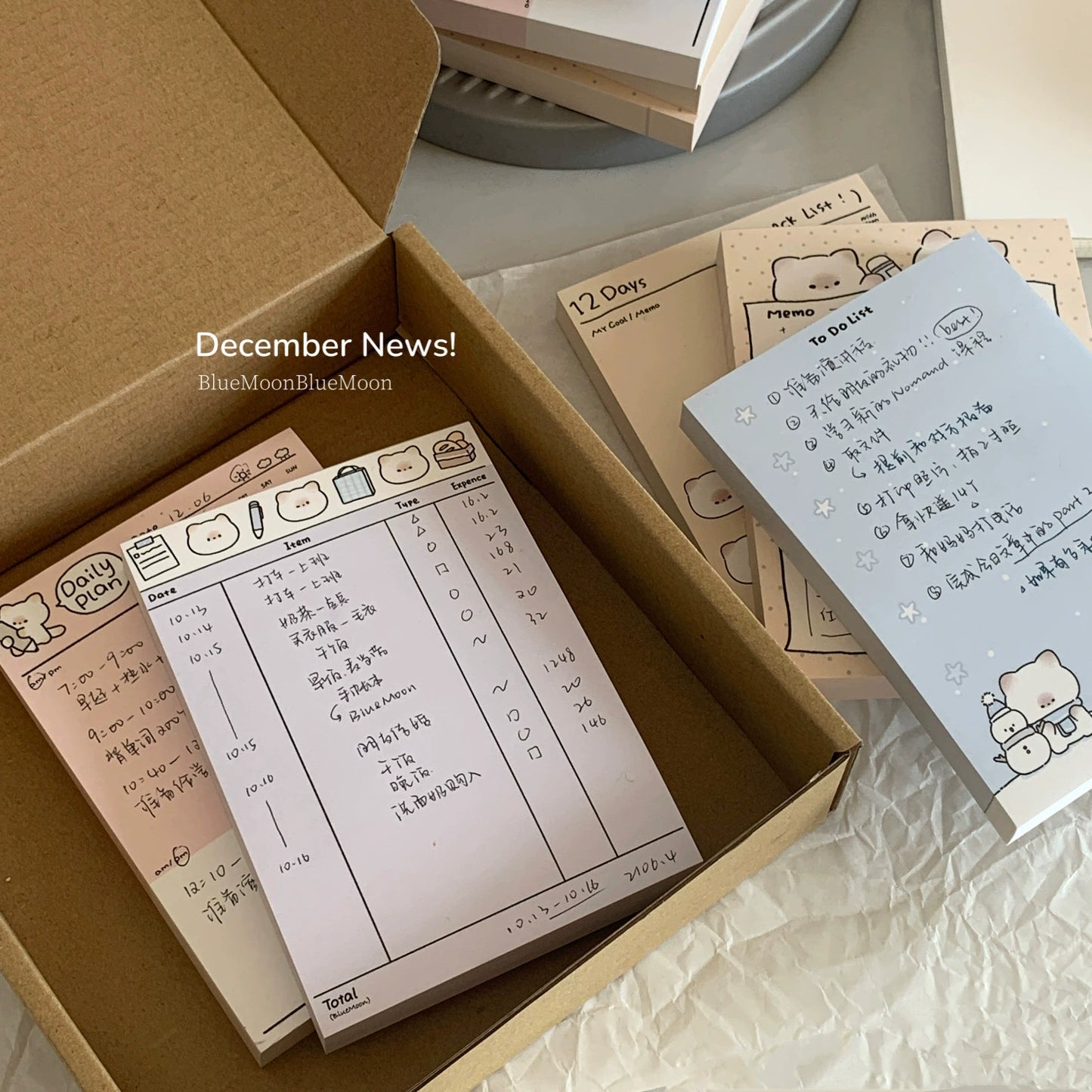 Pupuhome Functional Check in Memo Plan Checklist