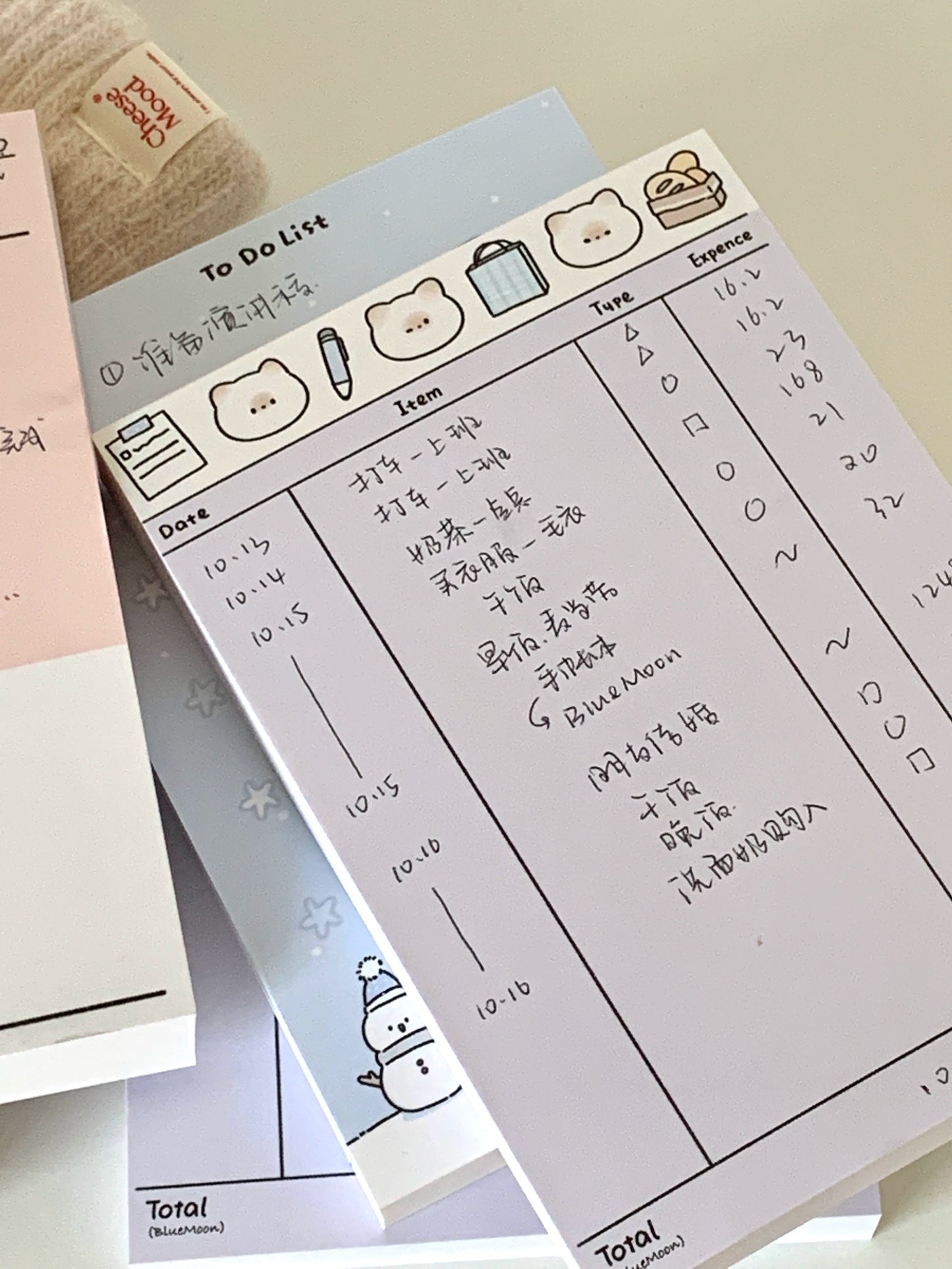 Pupuhome Functional Check in Memo Plan Checklist