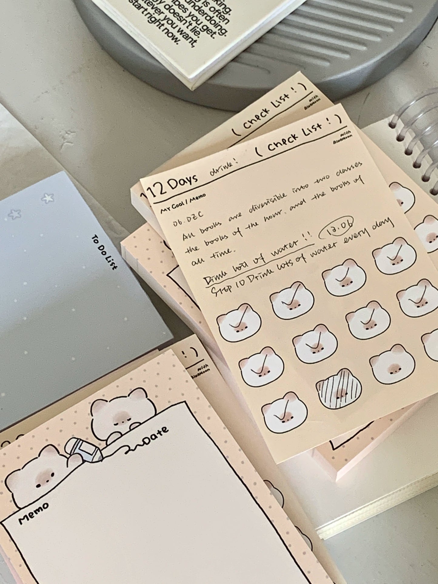 Pupuhome Functional Check in Memo Plan Checklist