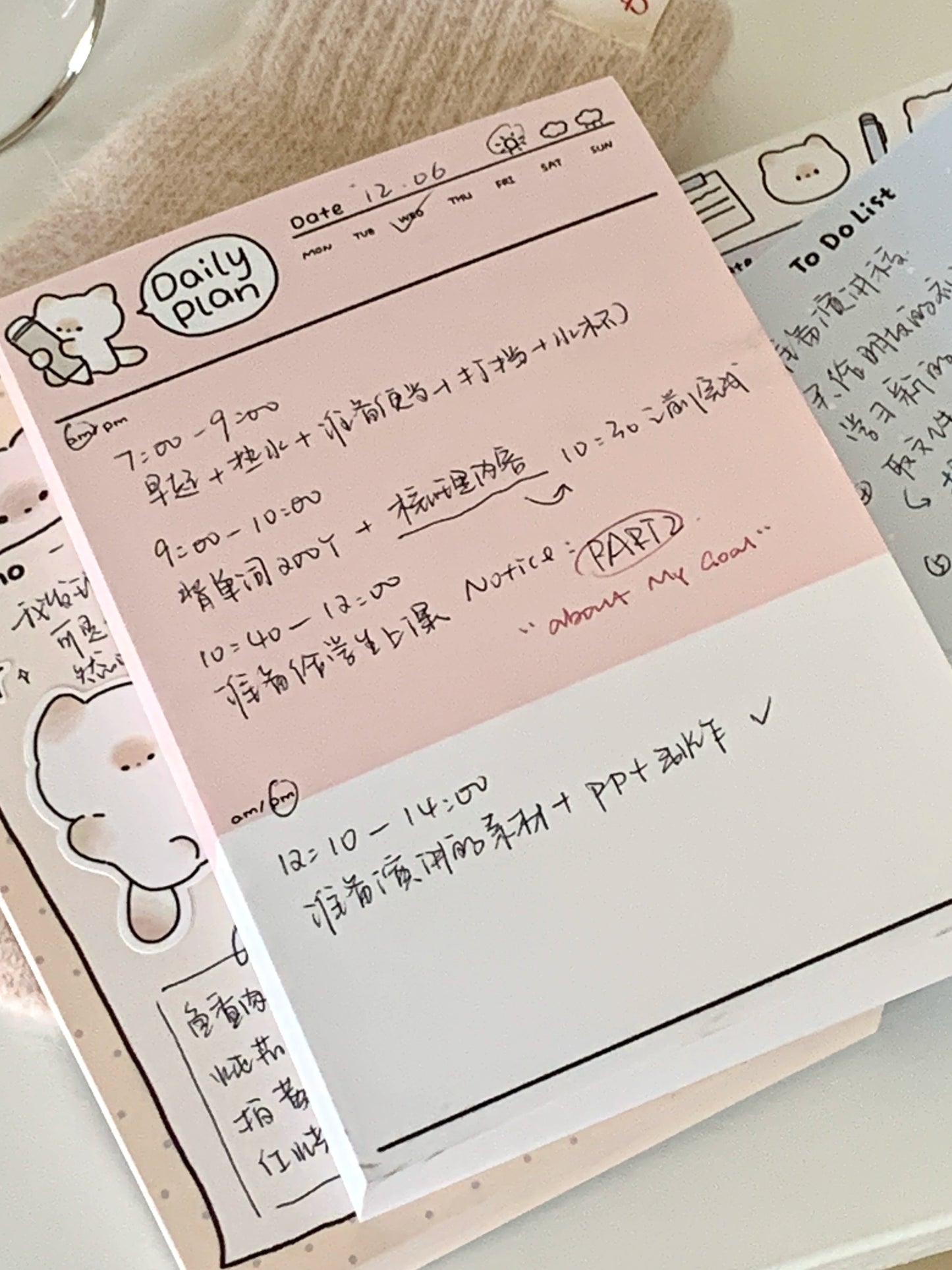 Pupuhome Functional Check in Memo Plan Checklist