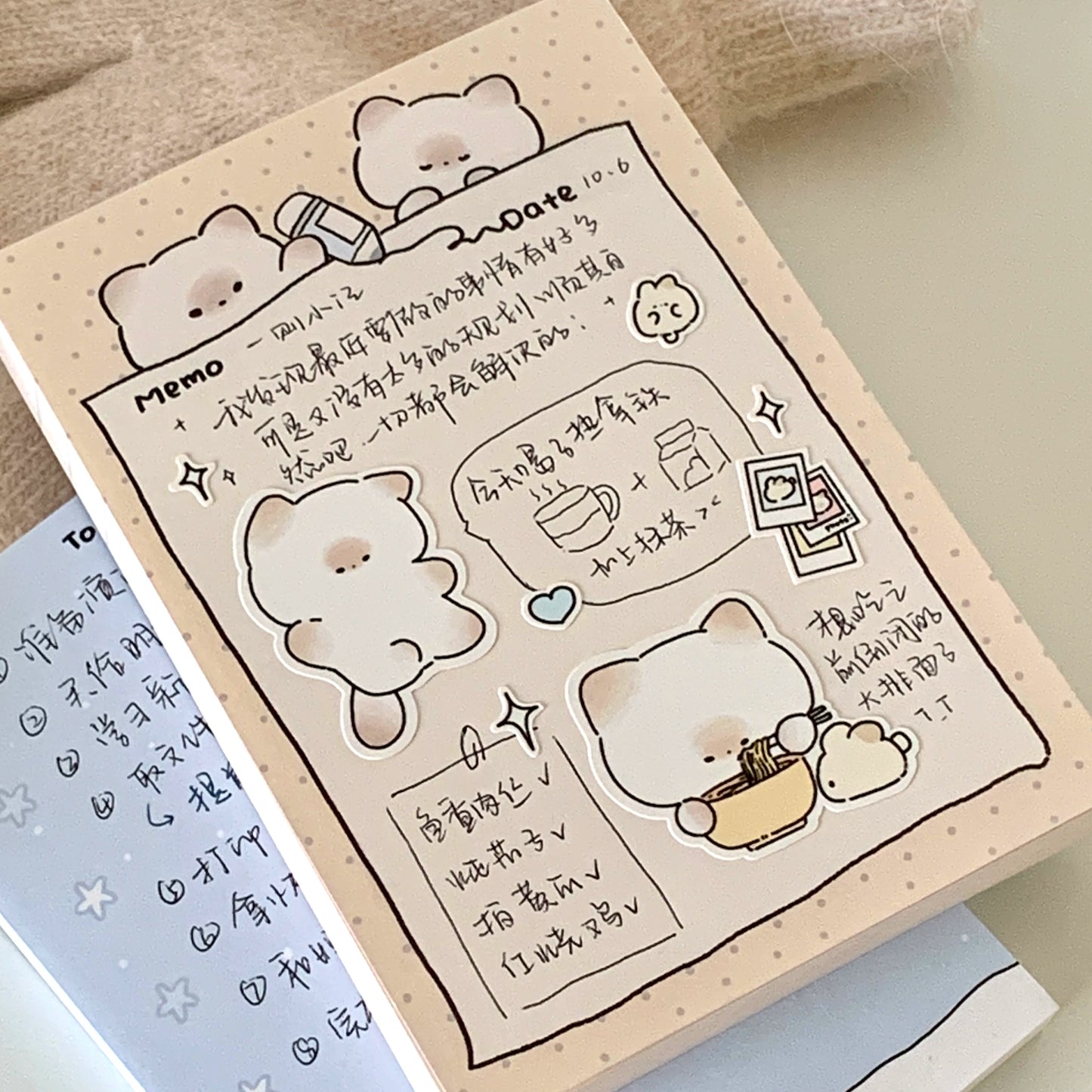 Pupuhome Functional Check in Memo Plan Checklist