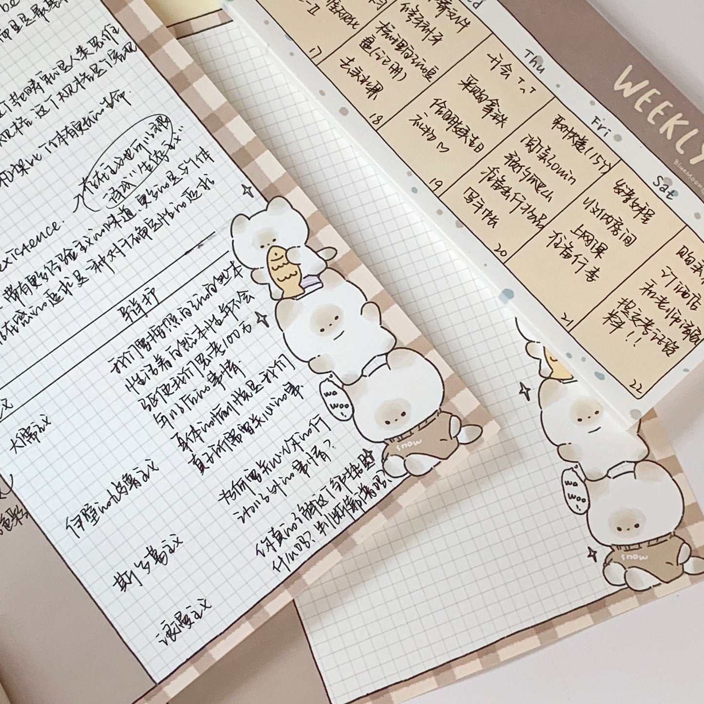 PupuhomeB5 Paper Shooting Plan for this week's urine sign