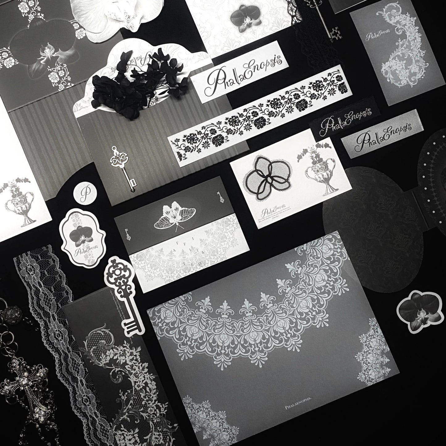 Phalaenopsis* No attribute cultural and creative packaging material pack