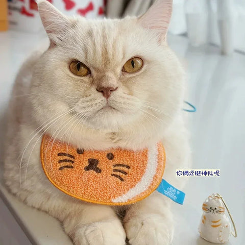 Transparent cat fur storage box with hanging decorations and twisted eggs