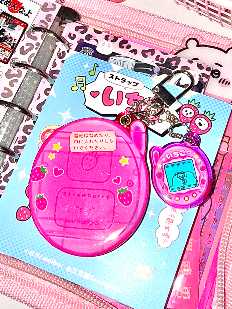 Topical Songzi Photo Frame Magnetic Keychain