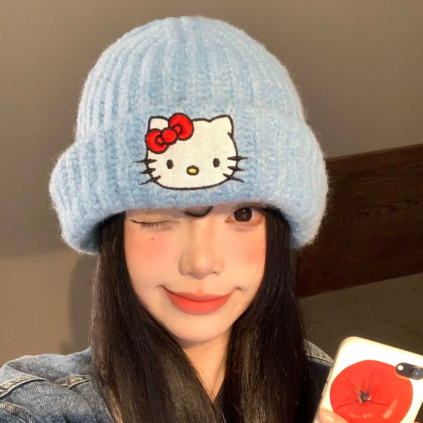 Cute Kitty cat embroidered woolen hat