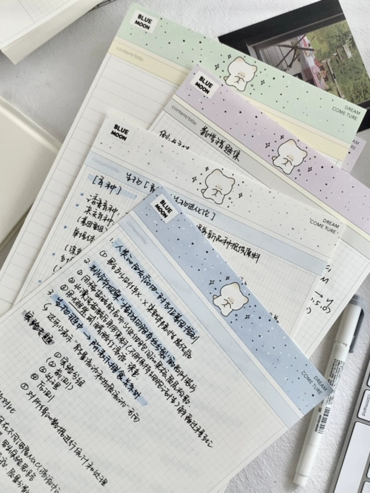 Pupuhome [Onshore Series Wishing Cat] B5 Horizontal Grid Sticky Paper