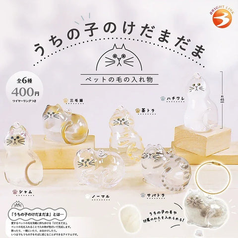 Transparent cat fur storage box with hanging decorations and twisted eggs