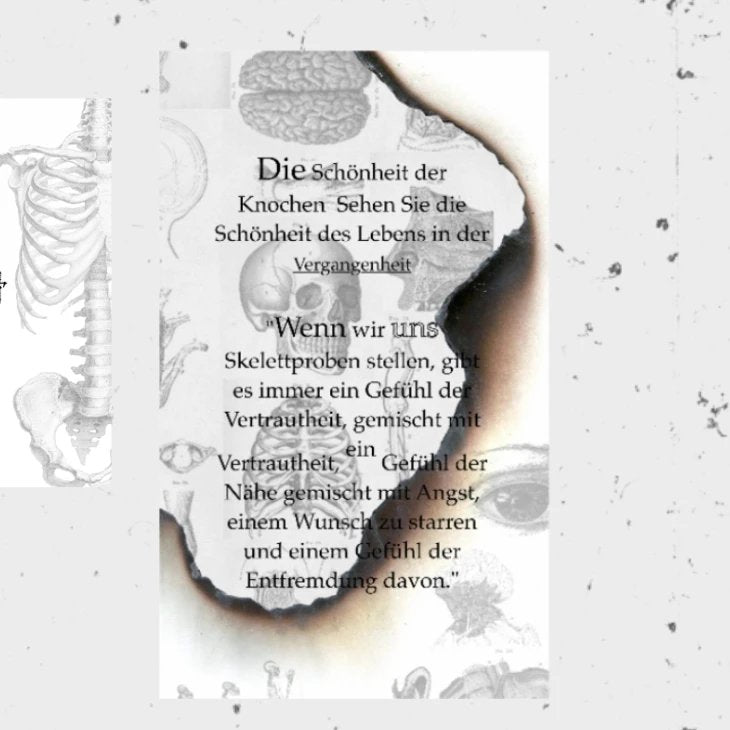 gluttonous heart * dark cultural creation