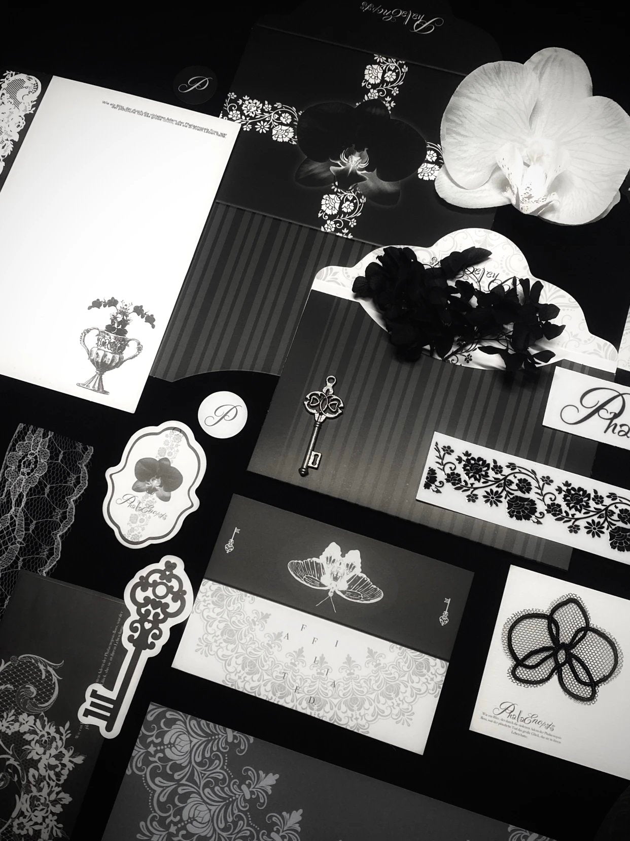 Phalaenopsis* No attribute cultural and creative packaging material pack