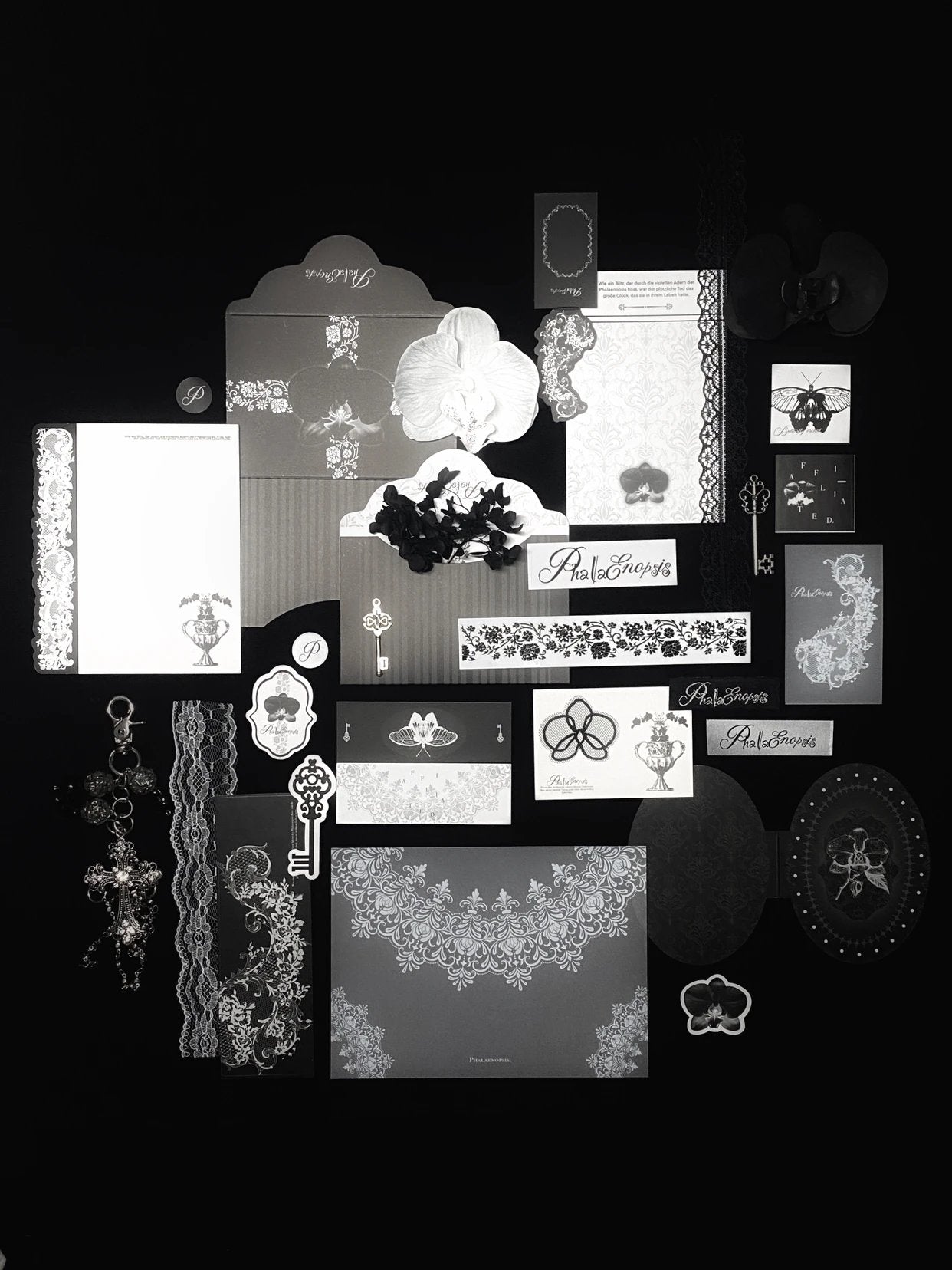 Phalaenopsis* No attribute cultural and creative packaging material pack