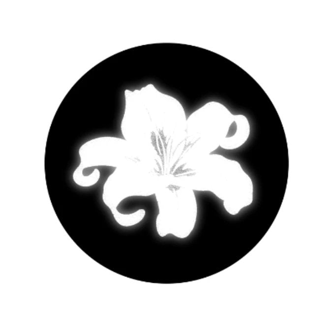 Lily * has no attributes cultural and creative