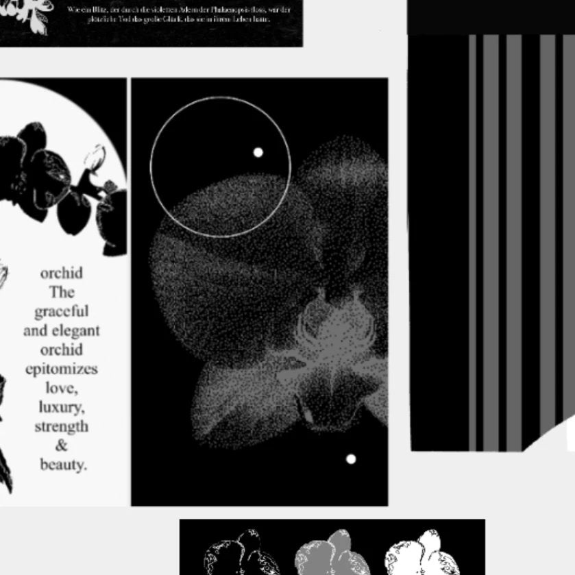 Phalaenopsis* No attribute cultural and creative packaging material pack